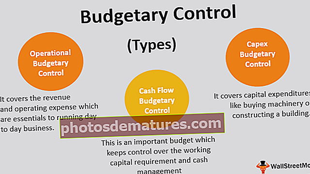 Буџетска контрола
