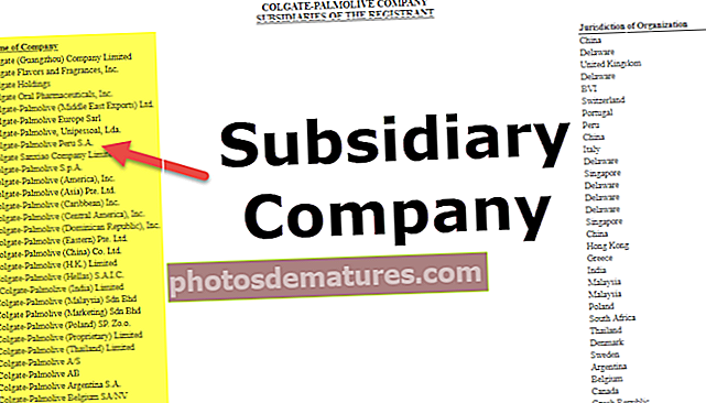 Kumpanya ng Subsidiary