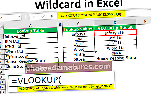 Wildcard sa Excel