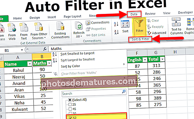 Filtre automàtic a Excel