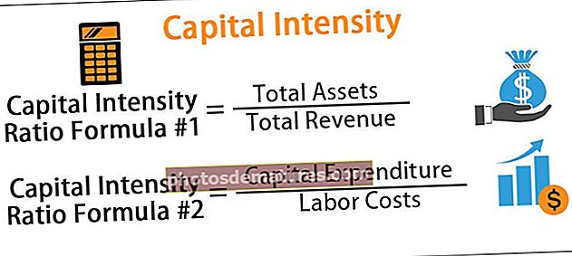 Интензитет капитала