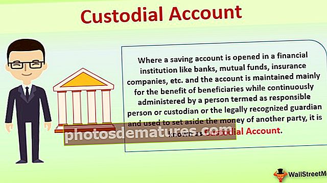 Custodial Account